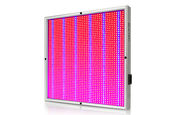 Kweek en groeilamp met 120W opbrengst