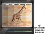 Lightpad A4 Pro met Accu